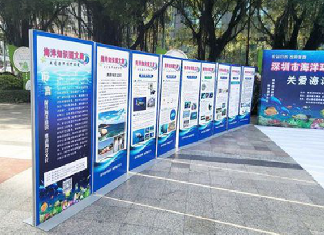 宁洱KT板的种类和知识。